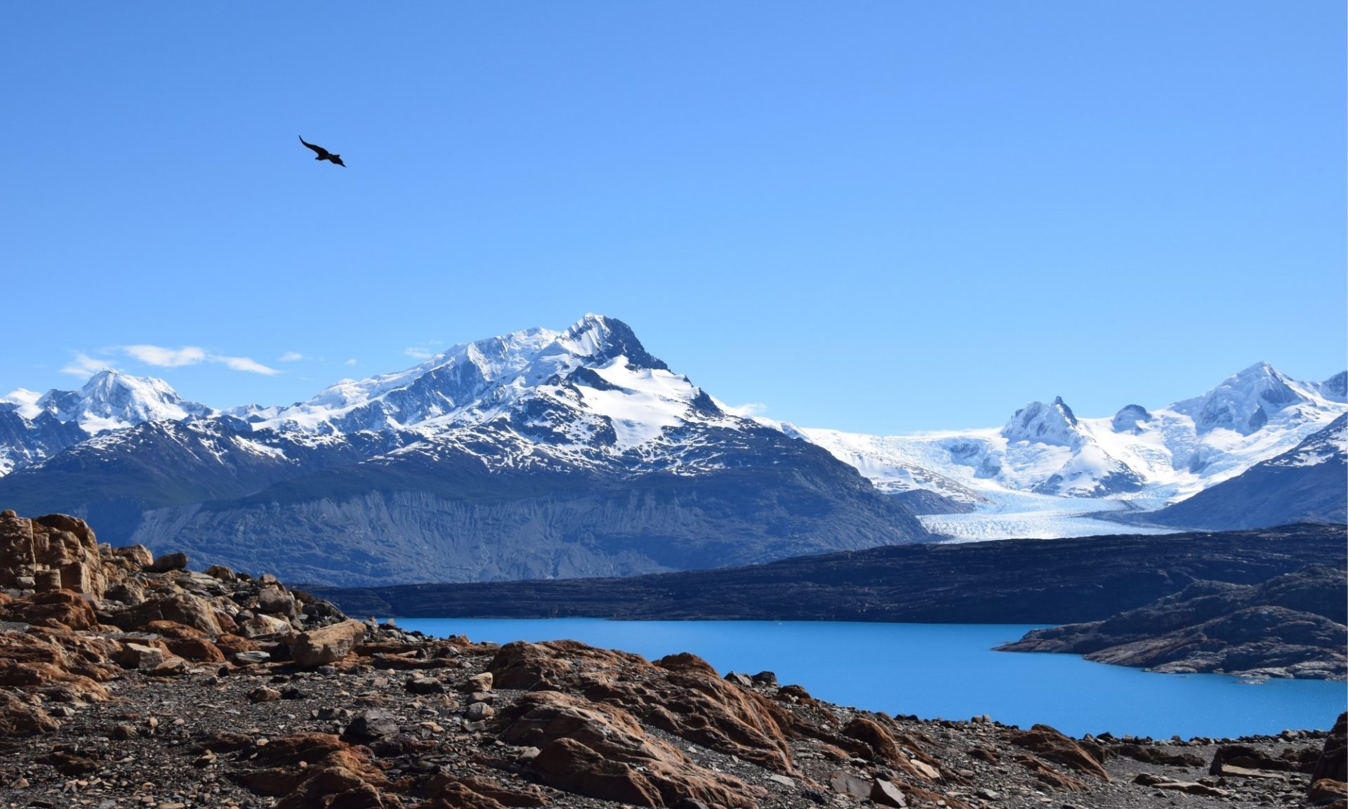 Argentine - Glacier Upsala