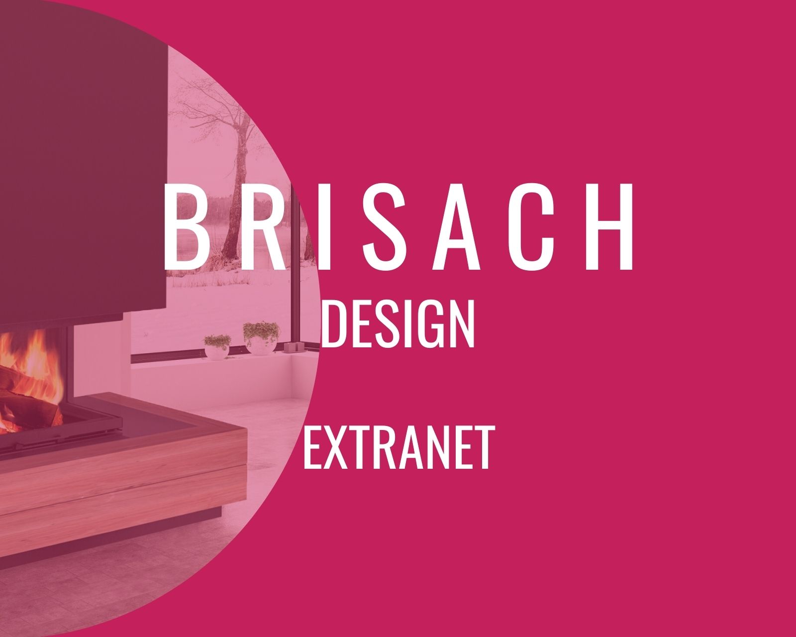 Réalisation d'un Extranet - Société Brisach Design